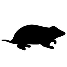 Hamster contour vector image