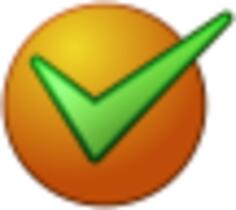 Green correct vector icon