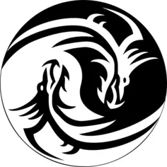 Ying yang dragon sign vector image
