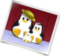 Penguin family photo vector illustration