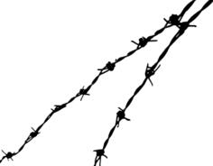 Barbed wire vector image