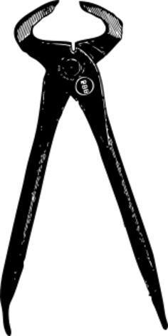 Pinchers vector image