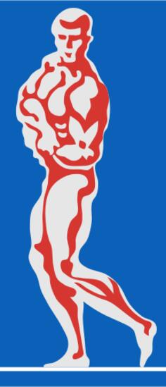 Bodybuilder color vector image