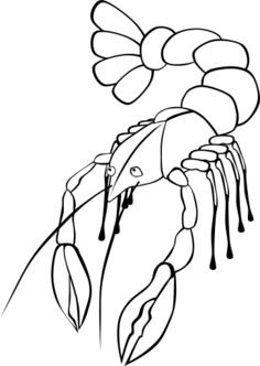 Crawfish vector graphics