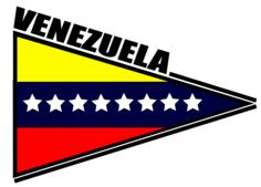 Venezuelan flag triangular sticker vector image