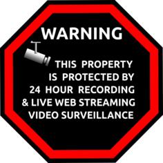 English security surveillance sticker vector image