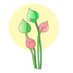 Tulip flower vector