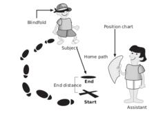 Vector image of navigation without vision or sound