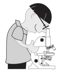 Kid using a microscope vector illustration