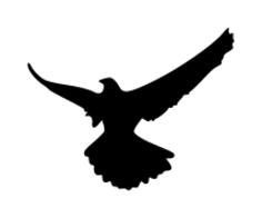 Eagle silhouette vector art