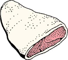 Prosciutto vector image