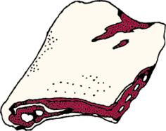 Rack of ribs vector clip art