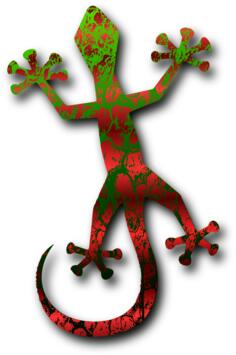 Gecko vector illustration