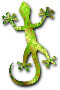 Colorful lizard vector