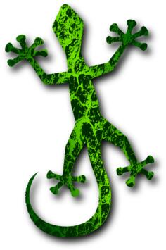 Green lizard vector clip art