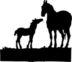 Colt and a mother vector illustration