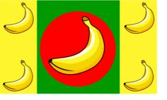 Banana Republic flag vector image