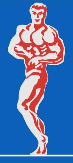 Bodybuilder vector image
