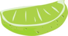 Sliced lime vector drawing