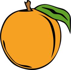 Peach fruit vector clip art
