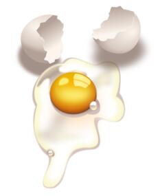 Broken egg vector illustration