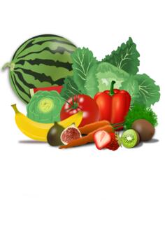 Fruit and vegetables vector image