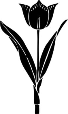 Tulip silhouette vector image
