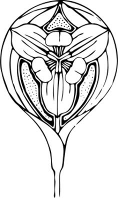 Vector image of a tulip design