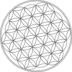 Flower of life symbol vector image