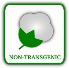 Cotton vector symbol