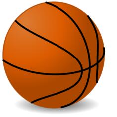 Basketball ball vector image