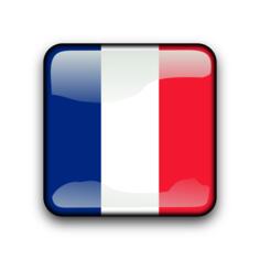 Country flag button for Guadeloupe