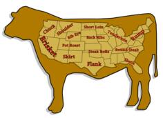 Funny vector illustration of beef cuts
