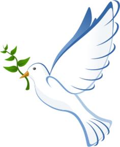 Dove vector illustration