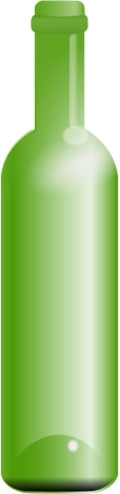 Green bottle vector image