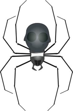 Spider insect vector