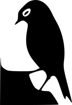 Bird silhouette vector