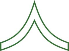Soldier insignia vector image