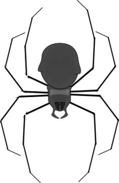 Spider vector graphics