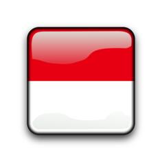 Indonesia vector flag button