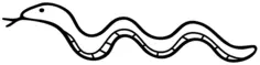Snake Outline Vector Image