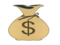 Bag of money vector image