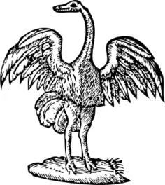Bird engraving vector