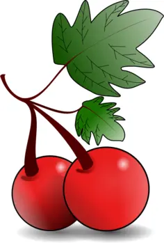 Red fruit vector graphics