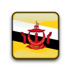Brunei flag vector button