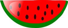 Watermelon vector image