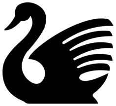 Black swan