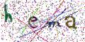 图形验证