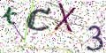 图形验证