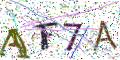 图形验证